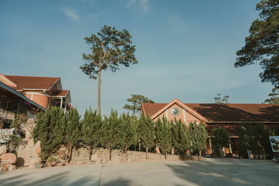 Hình ảnh tại Phạm Thị Mộng Tiên 3